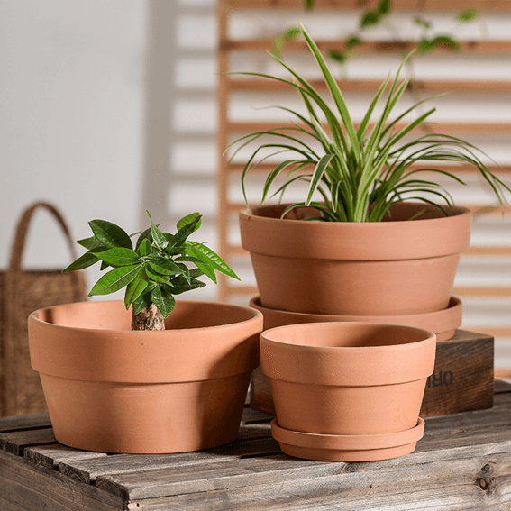 The advantages of clay plant pots