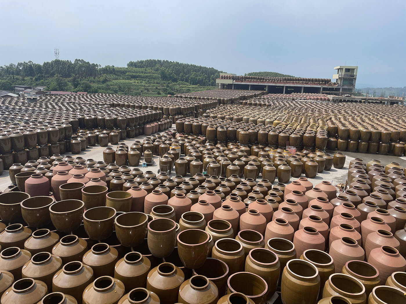 Shunfa Ceramic Industry Terracotta Wine Jars